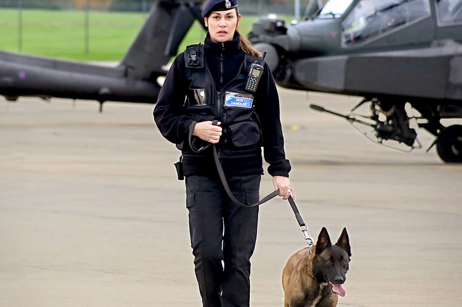 What is a Security Dog Handler