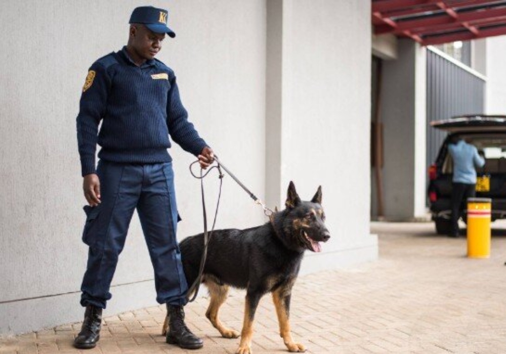 Security Dog Handler Course Near Me