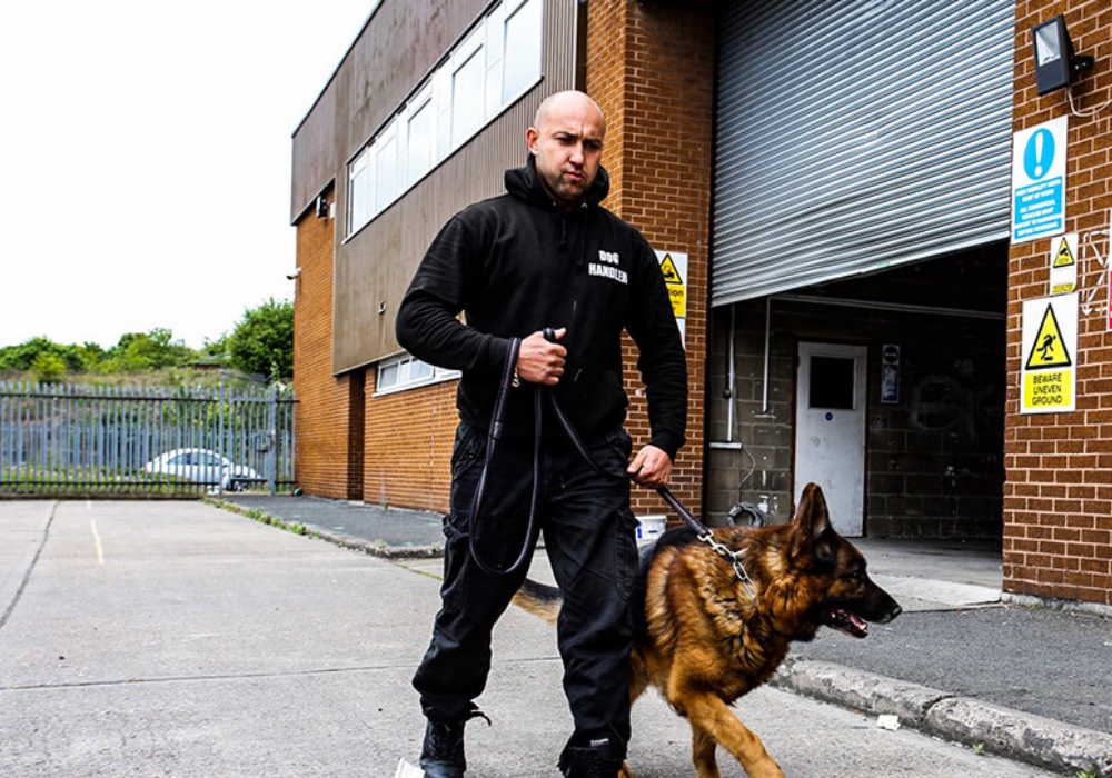  Security Dog Handler Jobs Near Me