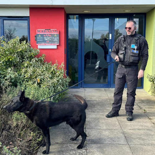 dog-door-with-security-2024