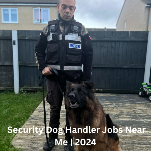  Security Dog Handler Jobs Near Me