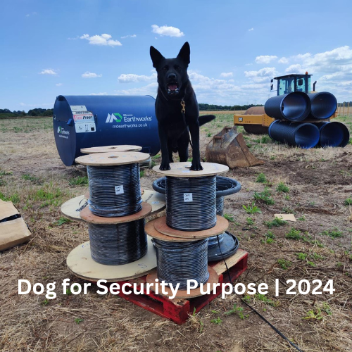 Dog for Security Purpose | 2024