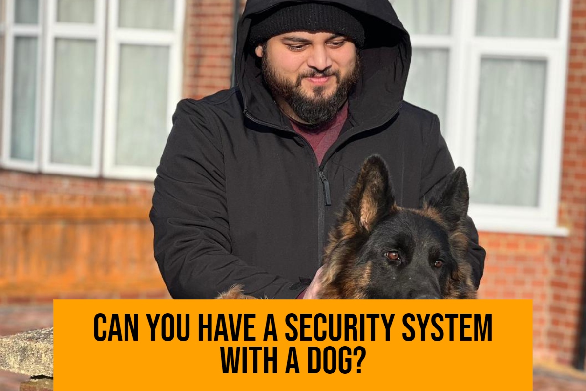 Can You Have a Security System with a Dog?